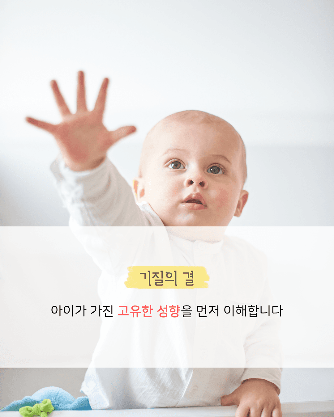 소개 섹션 1