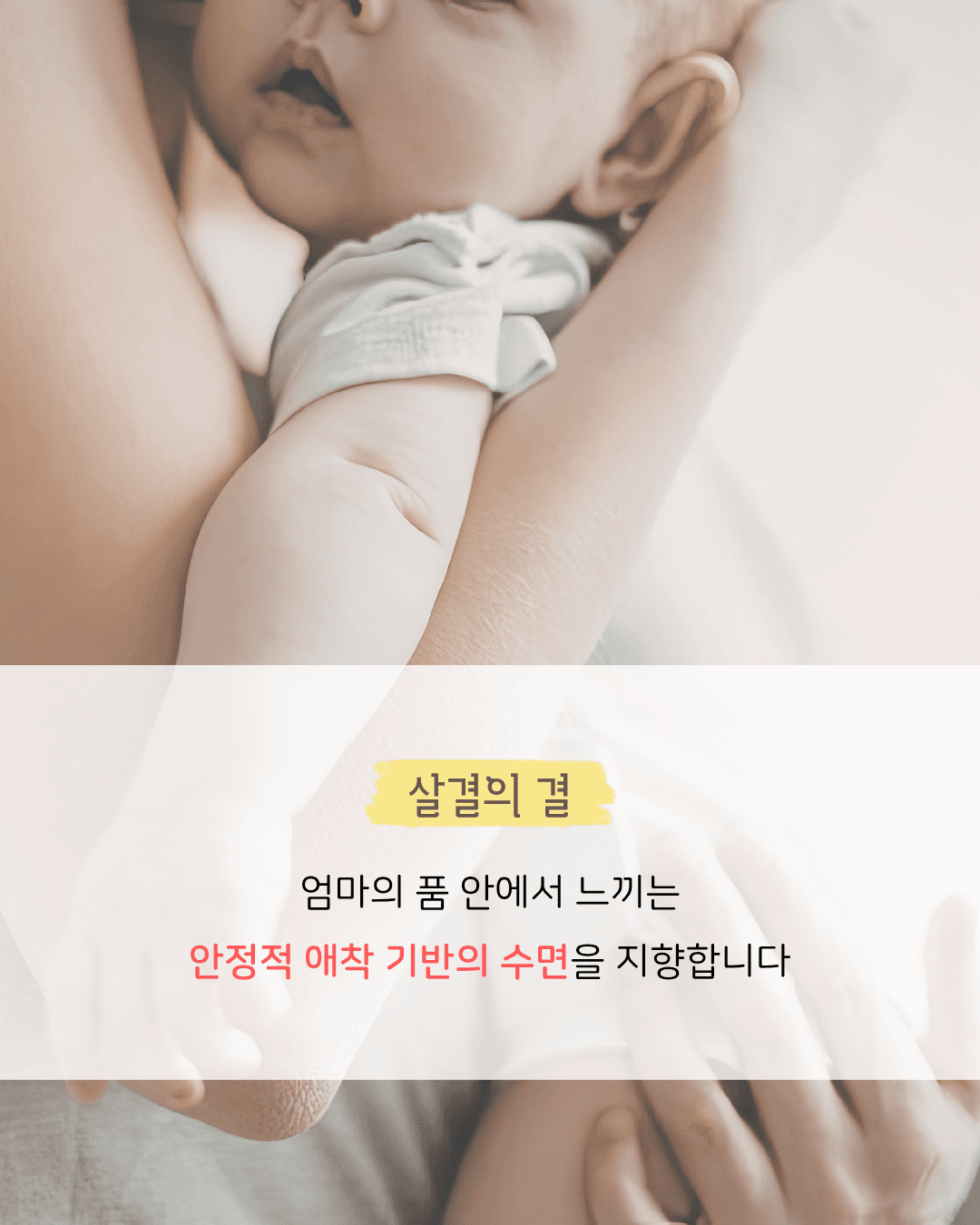 소개 섹션 2