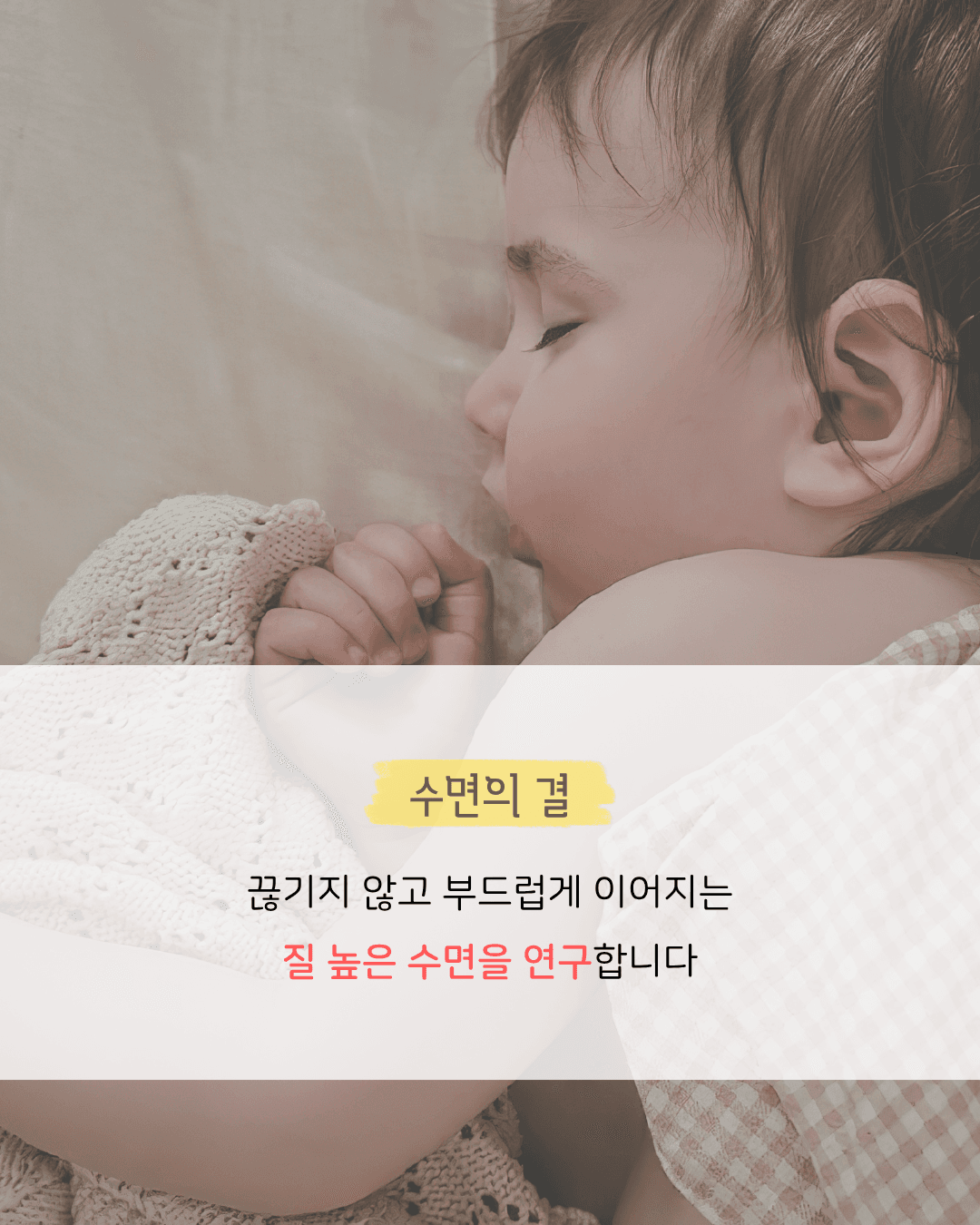 소개 섹션 3